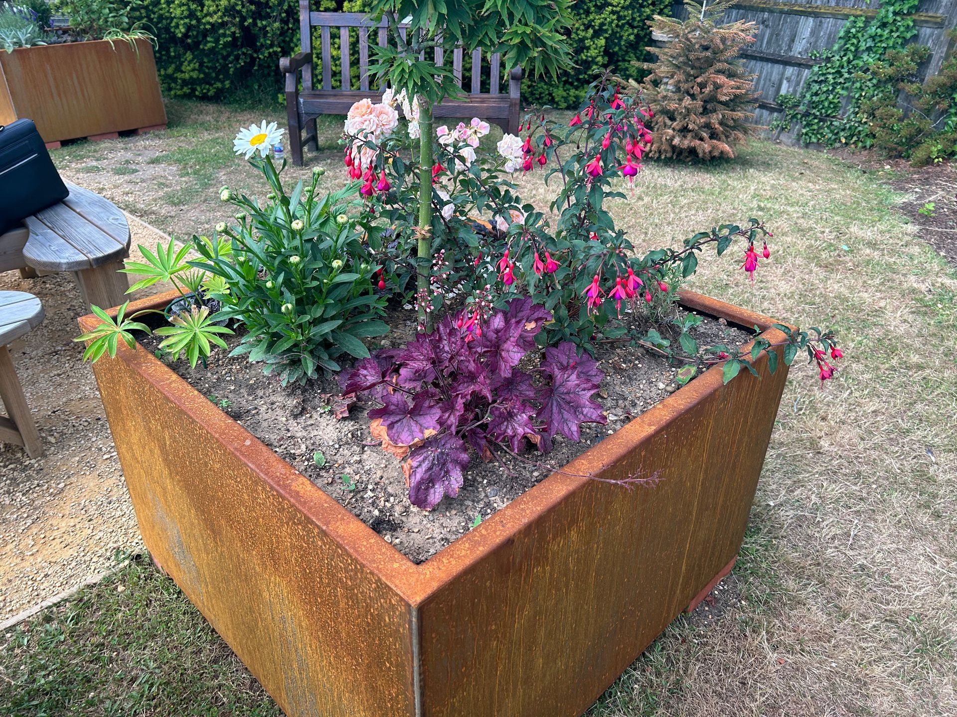 Flower power: Watering helps garden