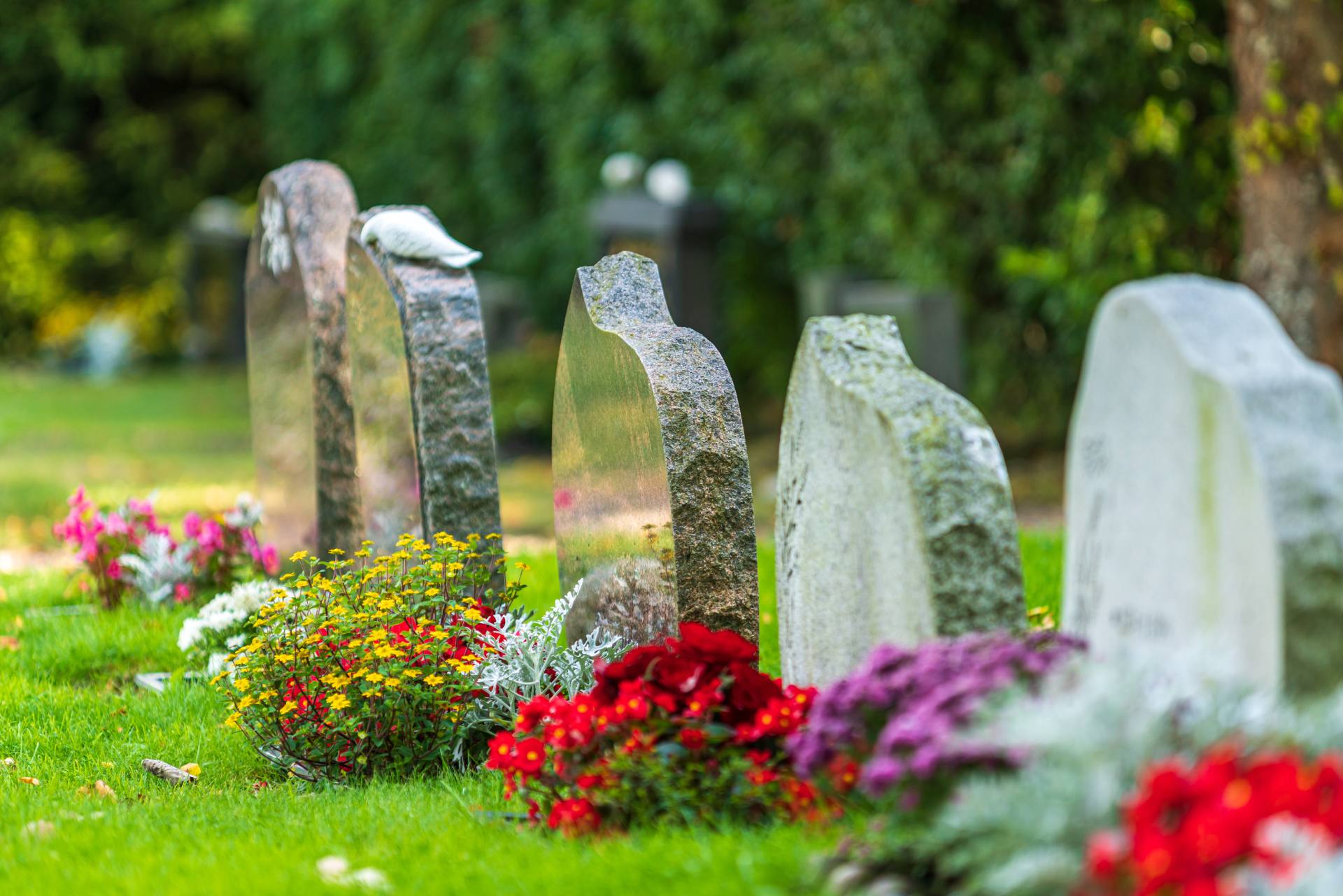 a graveyard with tombstones lined with flowers