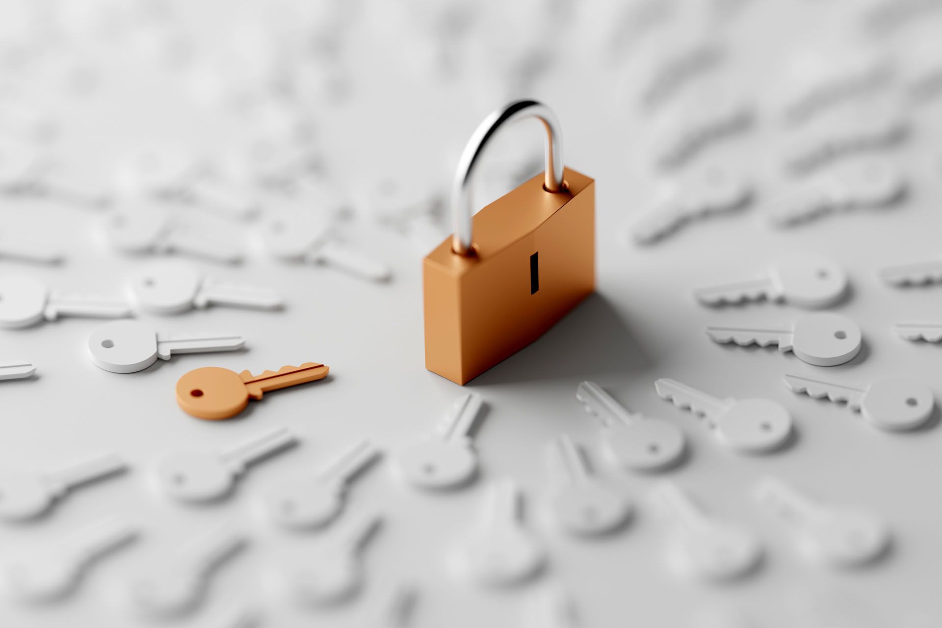 Padlock to secure your money account