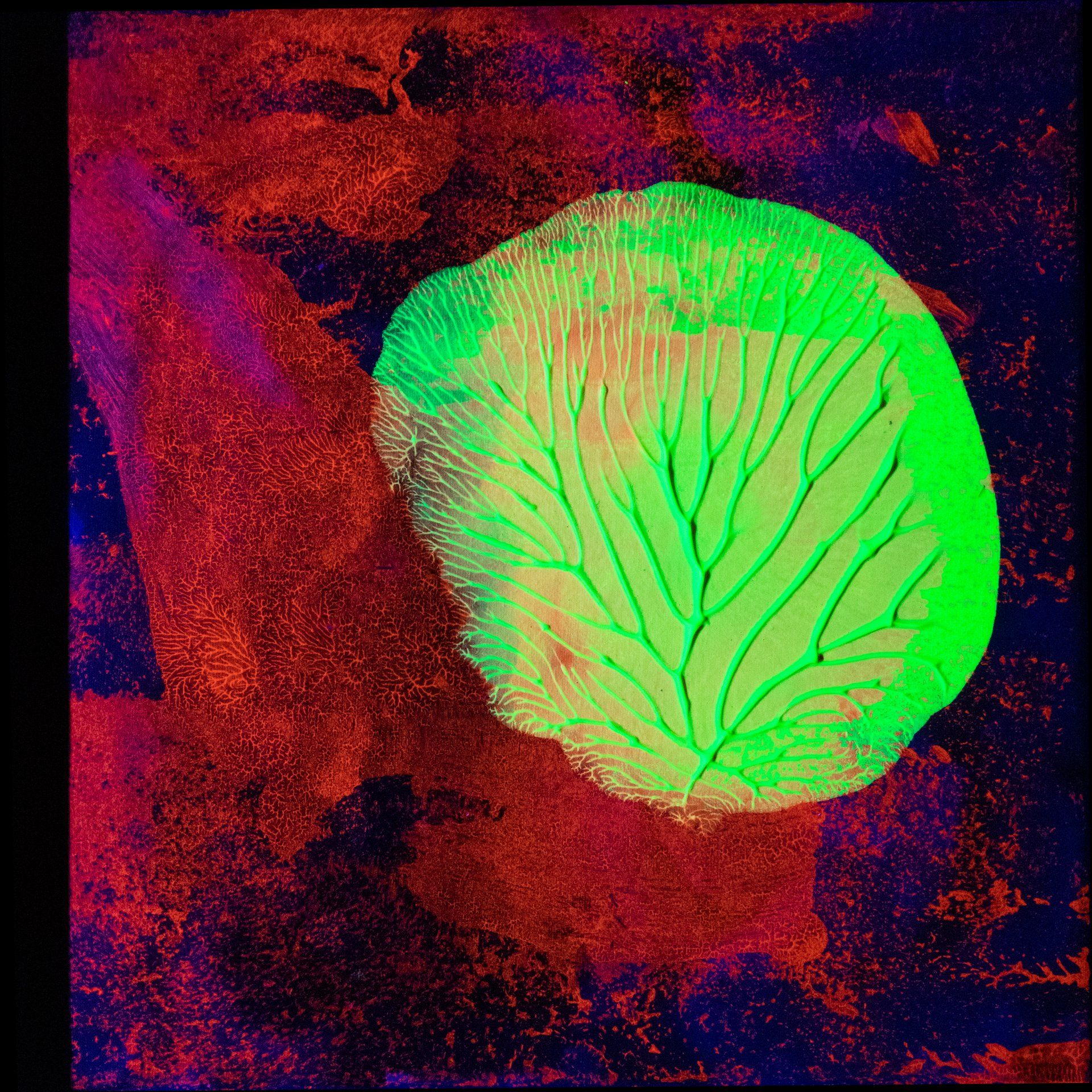 Luxembourg Art Prize