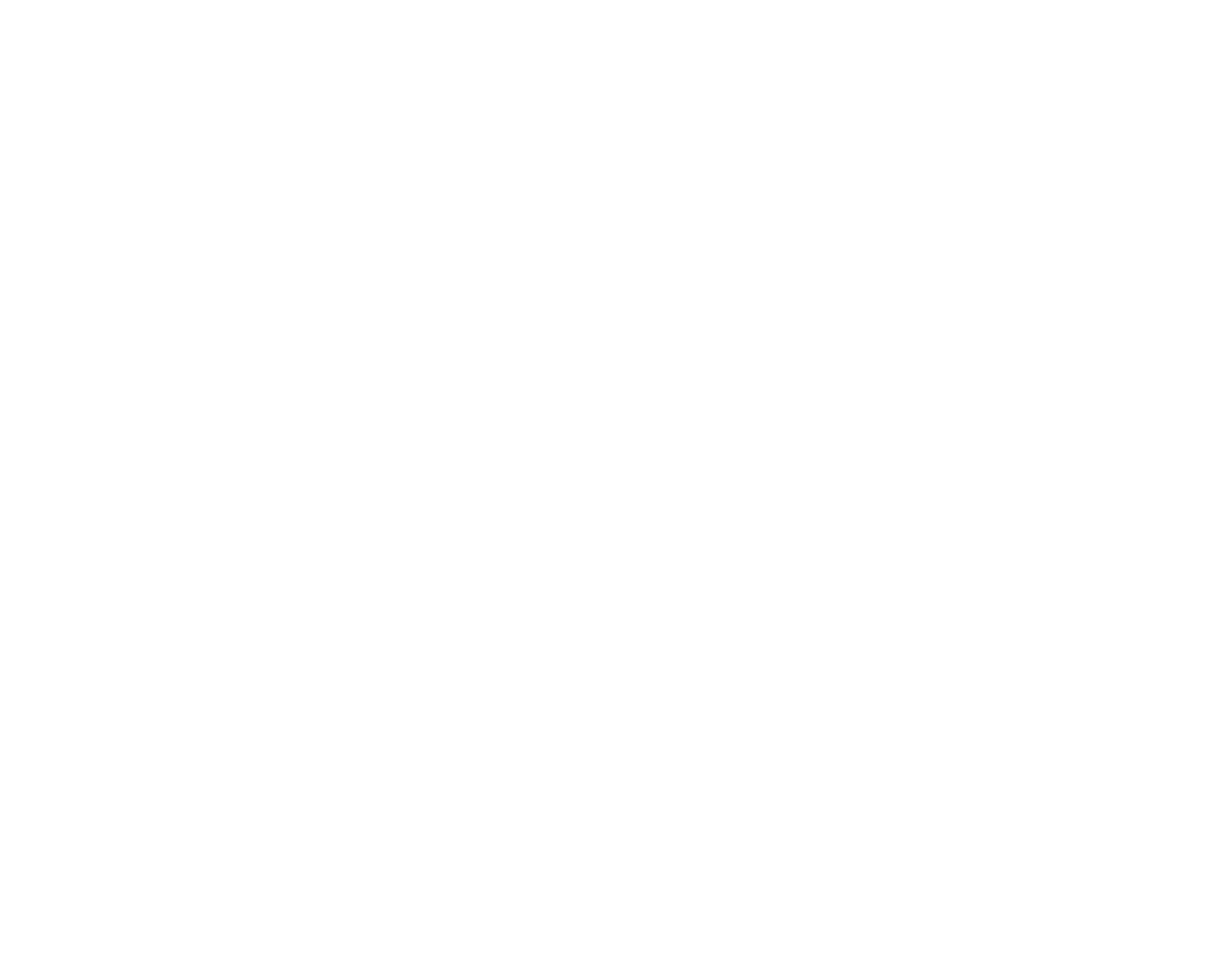 logo docteur robin ruiz, chirurgie esthetique paris