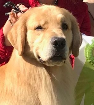 Regulatory consulting, compliance consulting, chemicals, banned chemicals, SDS compliance, Label compliance, products hazard comparison, Safety Data Sheet compliance, New Substance Notification, Unique Formulation Identifier, European SDS, physical health hazard, human health hazard, Poison Centre Notification, PCN, Reach portal, European SDS, GHS Labels, consumer product labels, Product registration, New Substance Notification in Canada, Pre-Manufacturing Notice, PMN, Significant New Use Notification, SNUN, Low Volume Exemption, LVE, Environmental Protection Agency, EPA, New Substance Registration, European Chemical Agency, Europe, GHS Training