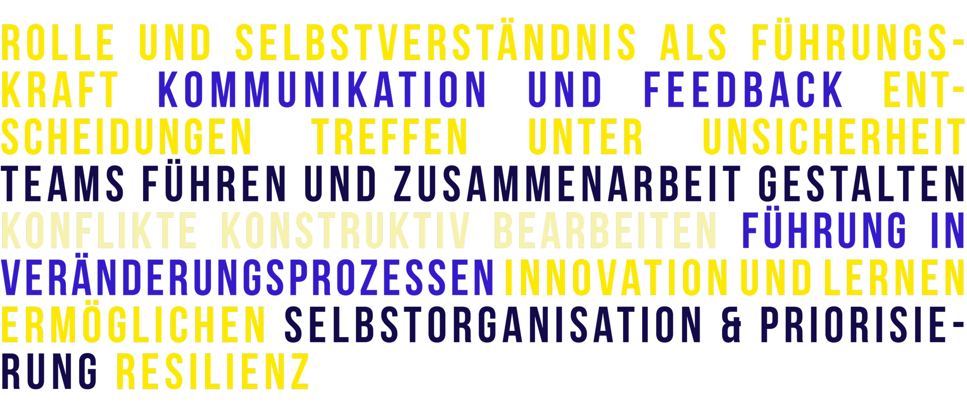 Rolle & Selbstverständnis als Führungskraft · Kommunikation & Feedback · Entscheidungen treffen unter Unsicherheit · Teams führen & Zusammenarbeit gestalten · Konflikte konstruktiv bearbeiten · Führung in Veränderungsprozessen · Innovation & Lernen ermöglichen · Selbstorganisation & Priorisierung · Resilienz