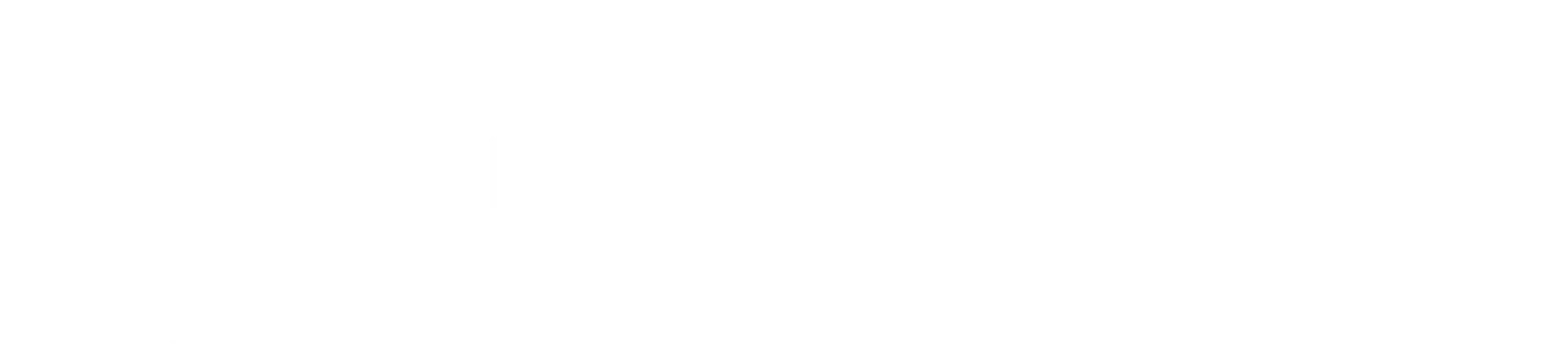 Logo VMP The art of experience - Sara Isabel Vischer