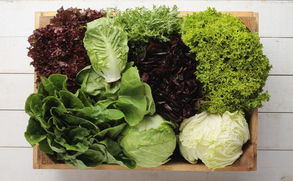 Fresh lettuces