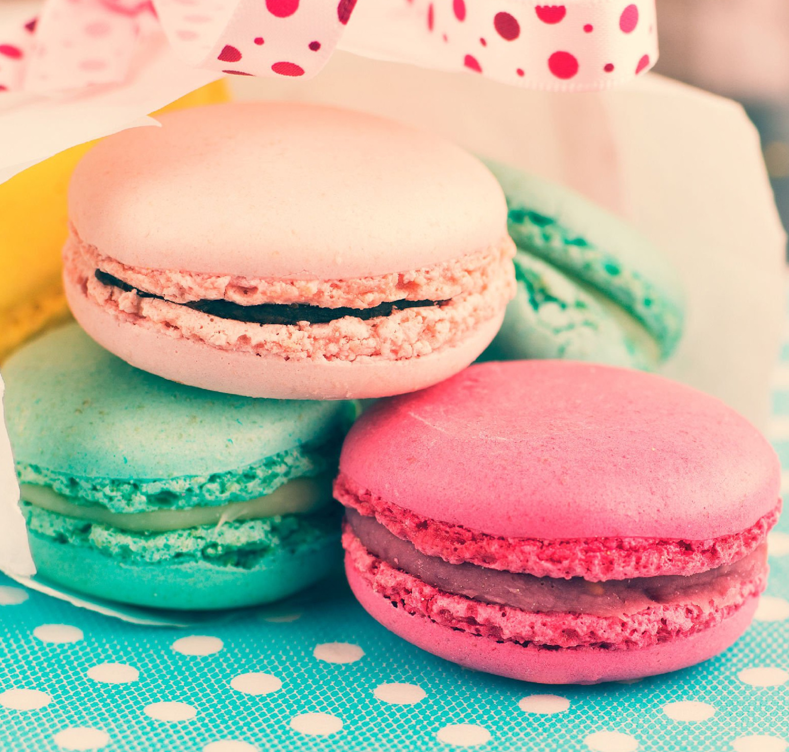 Isabelle Hansen, Europe Asia Business Services