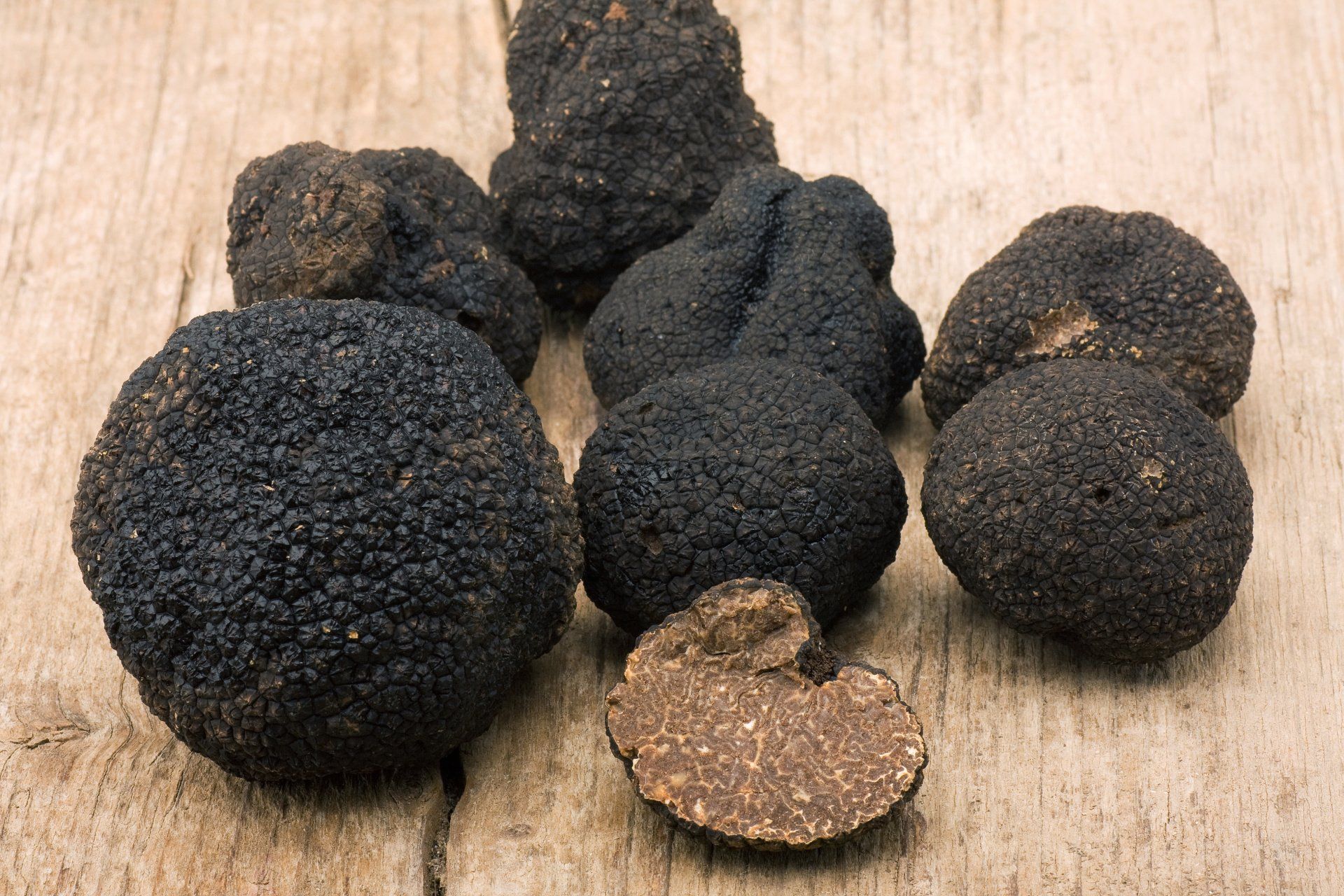 Tuber Indicum Aestivum Oligospermum