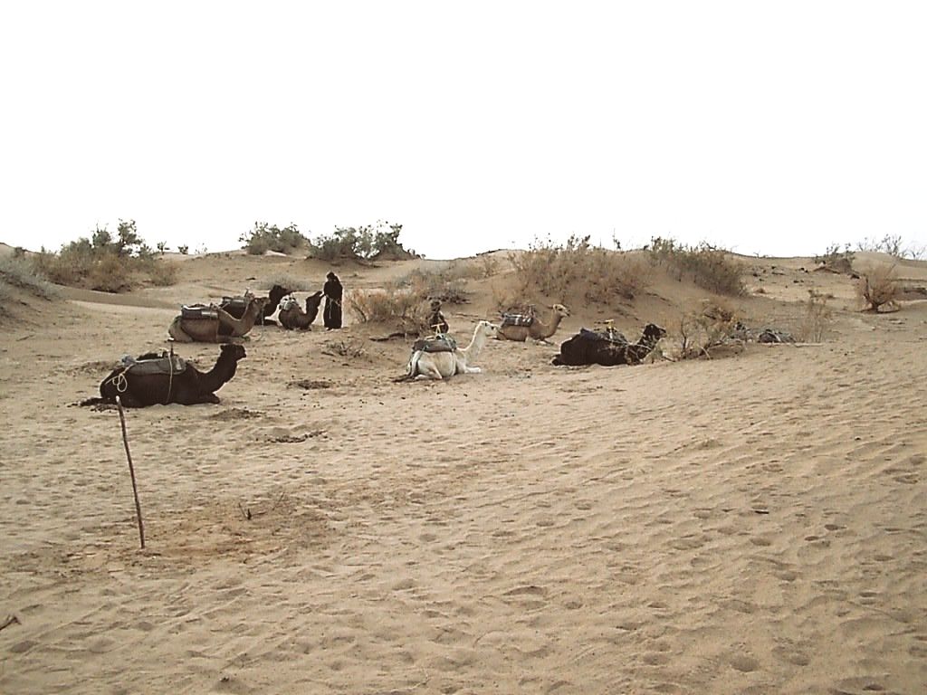 Wüstenlager bei Coaching Auszeit in der Wüste bei Kirsten Pape , Systemischer Coach