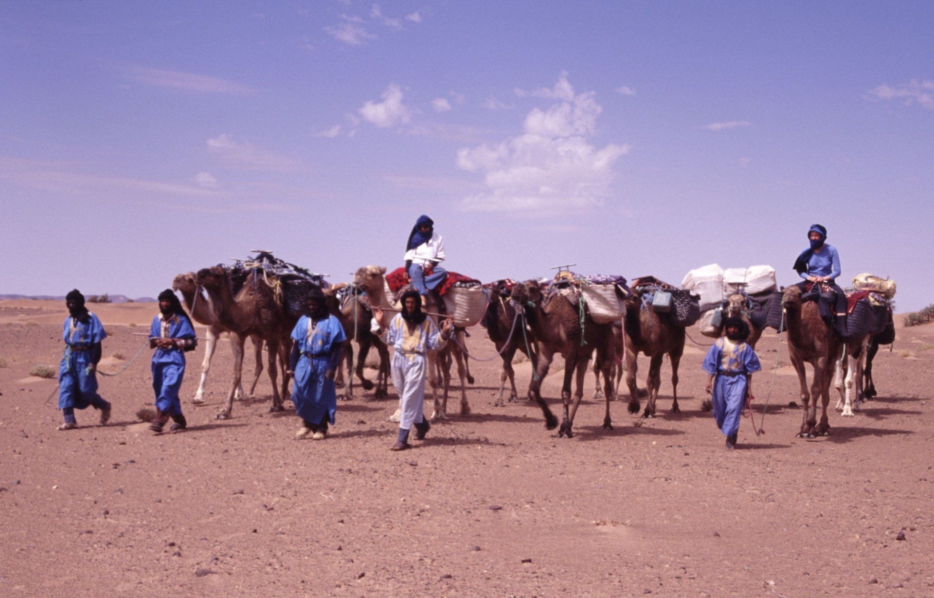 Systemisches Coaching, Mental Health Coach Köln, wingwave®-Coach Wüstenkarawane bei Auszeit-Coach in Köln Kirsten Pape, Systemisches Coaching, Mental Health Coaching