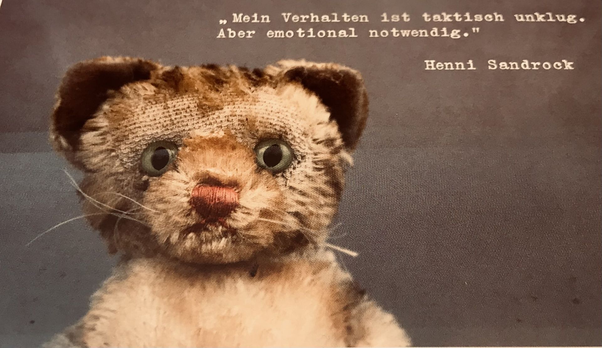 Mental Health Coach in Köln, auch online Bild mit Hundefoto und Text bei Coach Köln Kirsten Pape