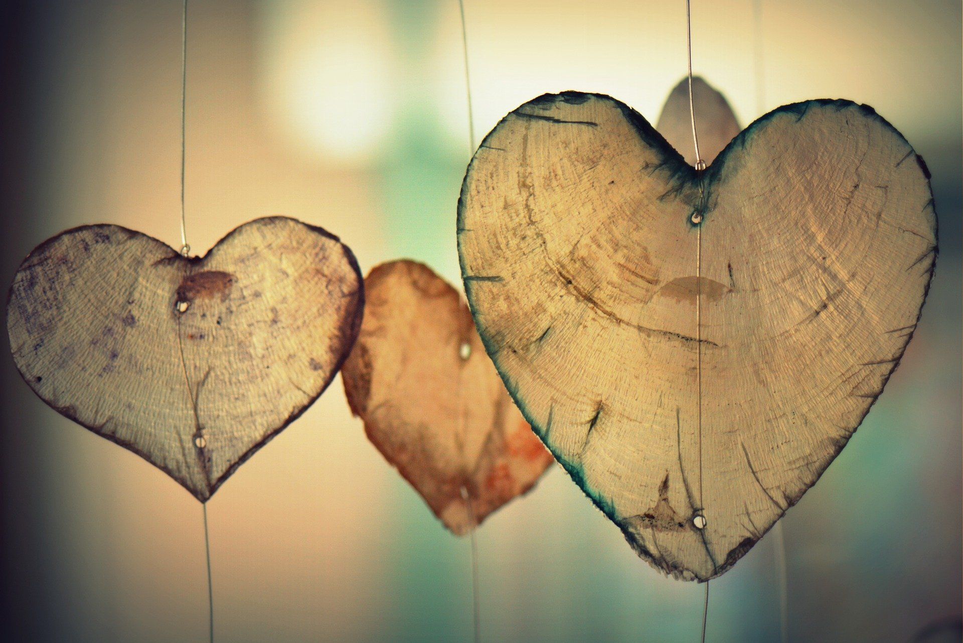 Herzen aus Holzscheibeen