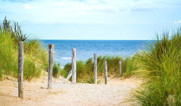 Systemischer Mental Health Coach in Köln - traumasensibles und nachhaltiges Coaching Kirsten Pape - Systemischer Mental Health Coach in Köln - traumasensibles und nachhaltiges Coaching