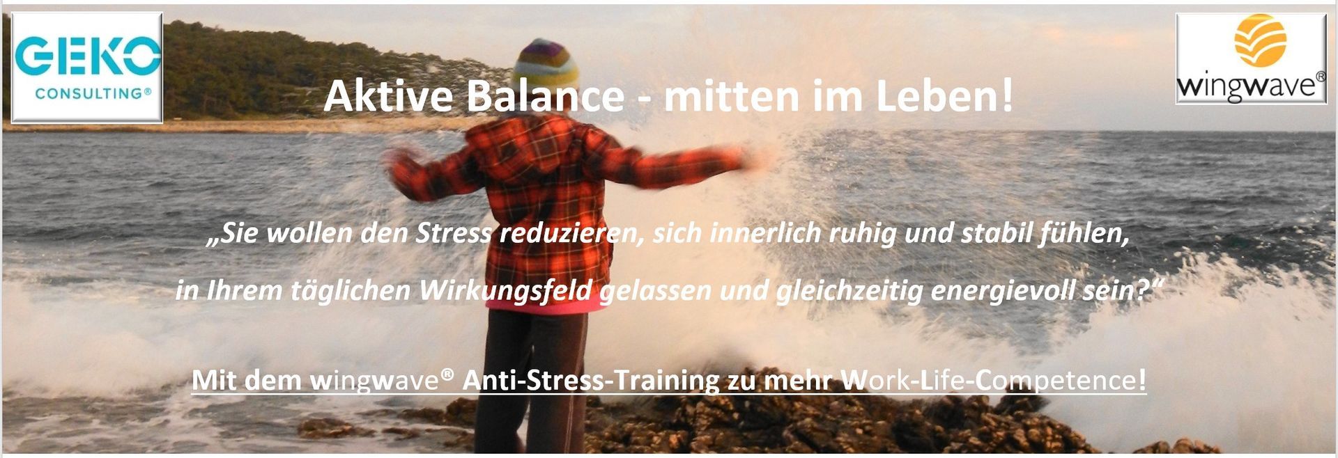 GEKO wingwave® Anti-Stress-Training GEKO wingwave® Anti-Stress-Training