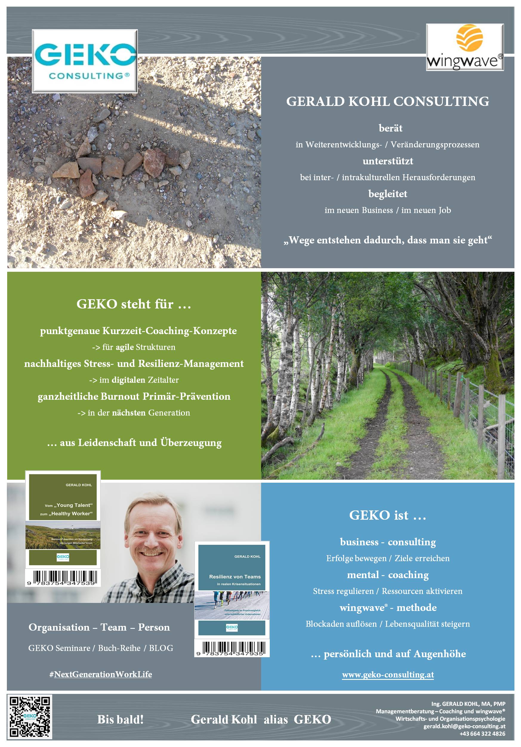GEKO CONSULTING Flyer