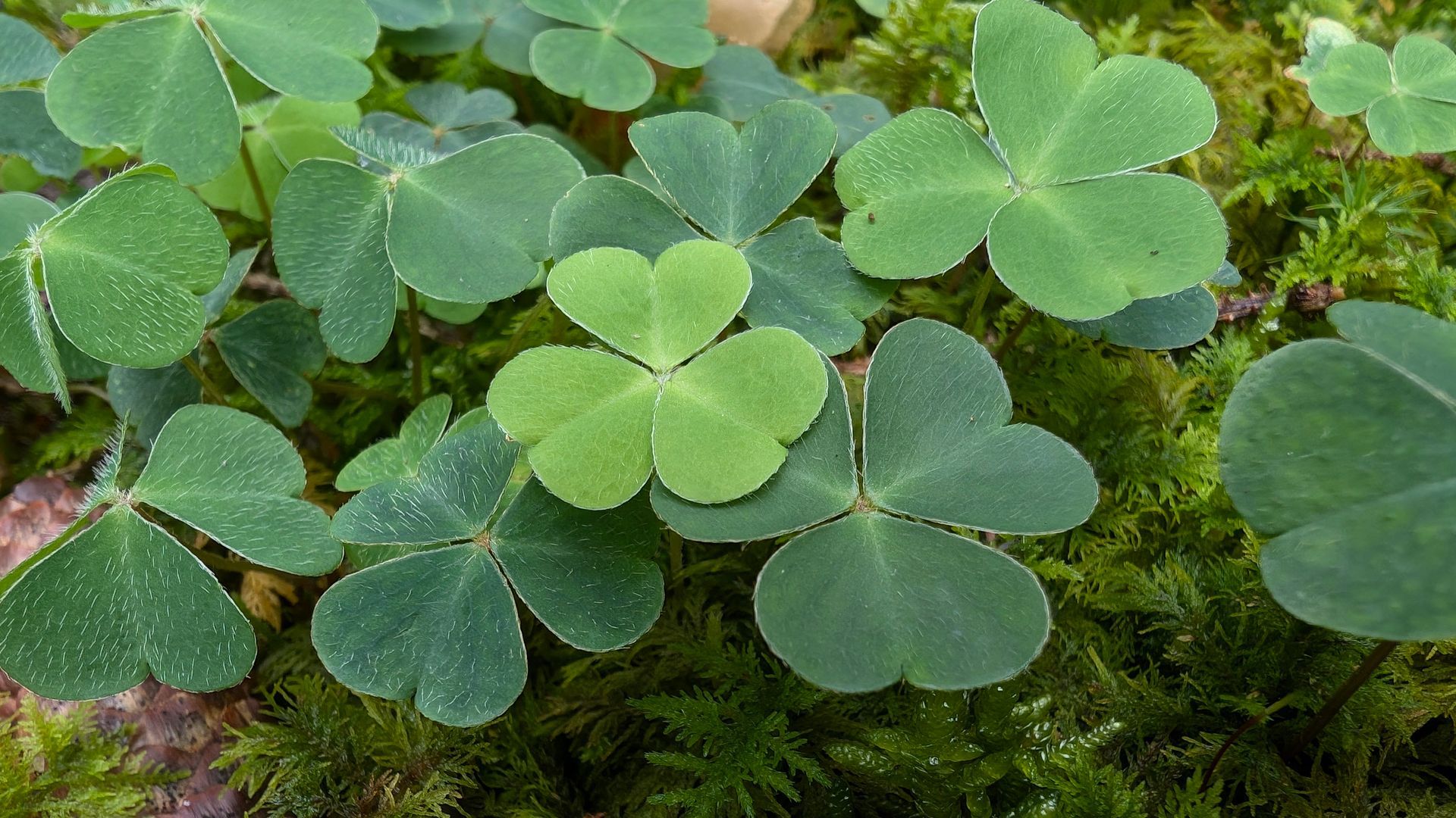 Meine Gedanken auf dem Weg in einen neuen Raum.