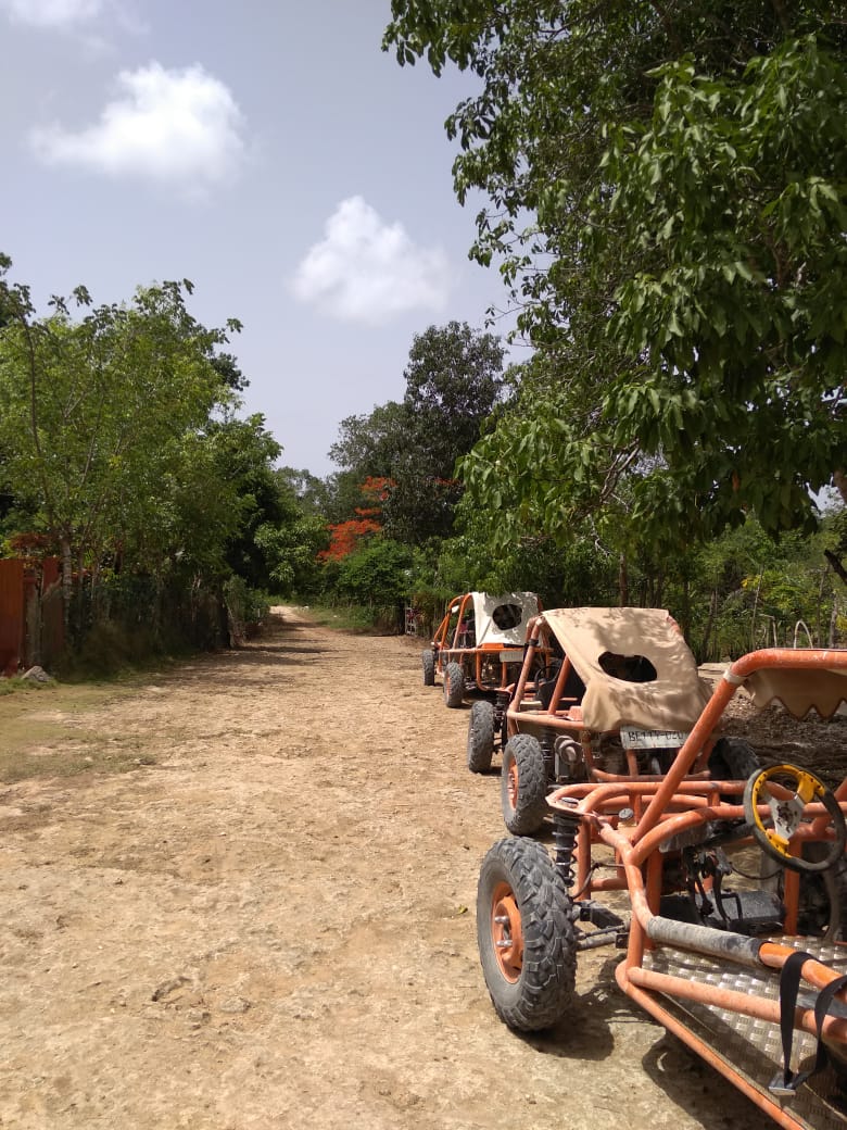 Buggys in einer Reihe