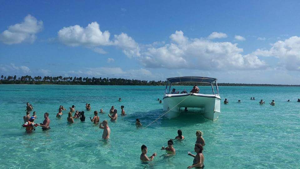 Guppe im Wasser auf einer Sandbank