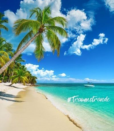 Saona Exklusiv Türkisblaues Wasser an einem Palmenstrand mit einem Boot