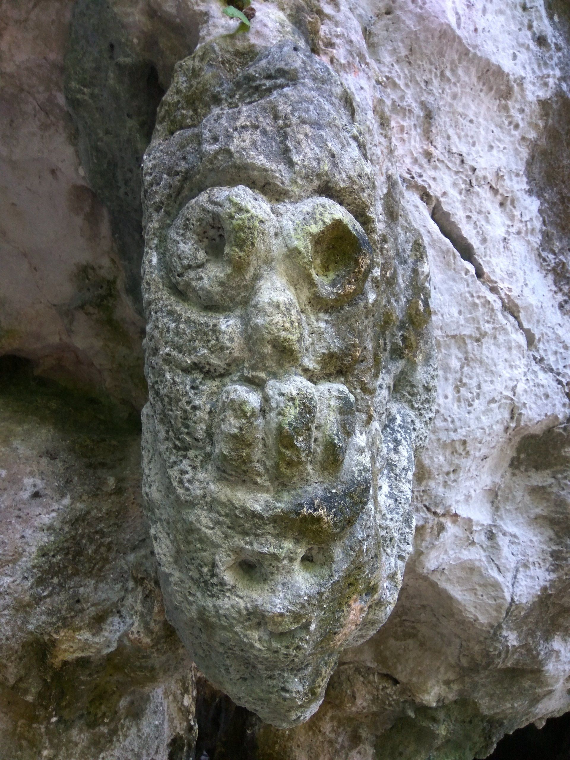 Gesicht in Stein gemeiselt