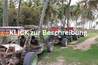 Klick zur Beschreibung Buggys in einem Palmenwald