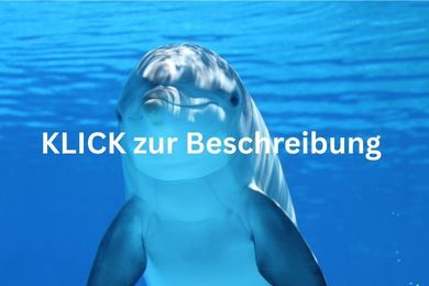 KLICK zur Beschreibung Delfin im blauen Wasser