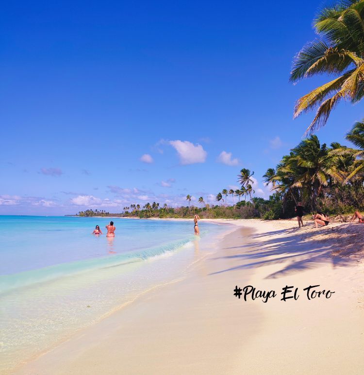 Saona Exklusiv Palmenstrand mit türkisblauem Wasser und einem Boot