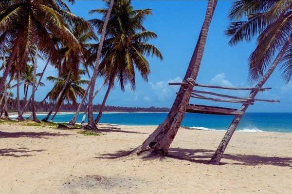 Playa Limón Blick über die Playa Limón