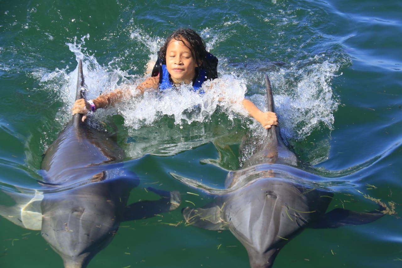 Kind mit zwei Delfinen im Wasser