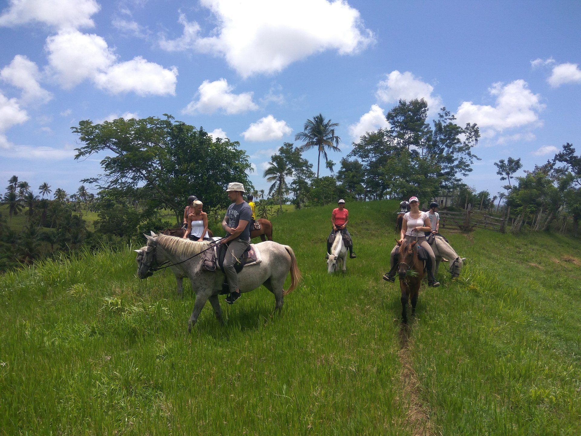 Eine Gruppe Reiter auf einer Wiese