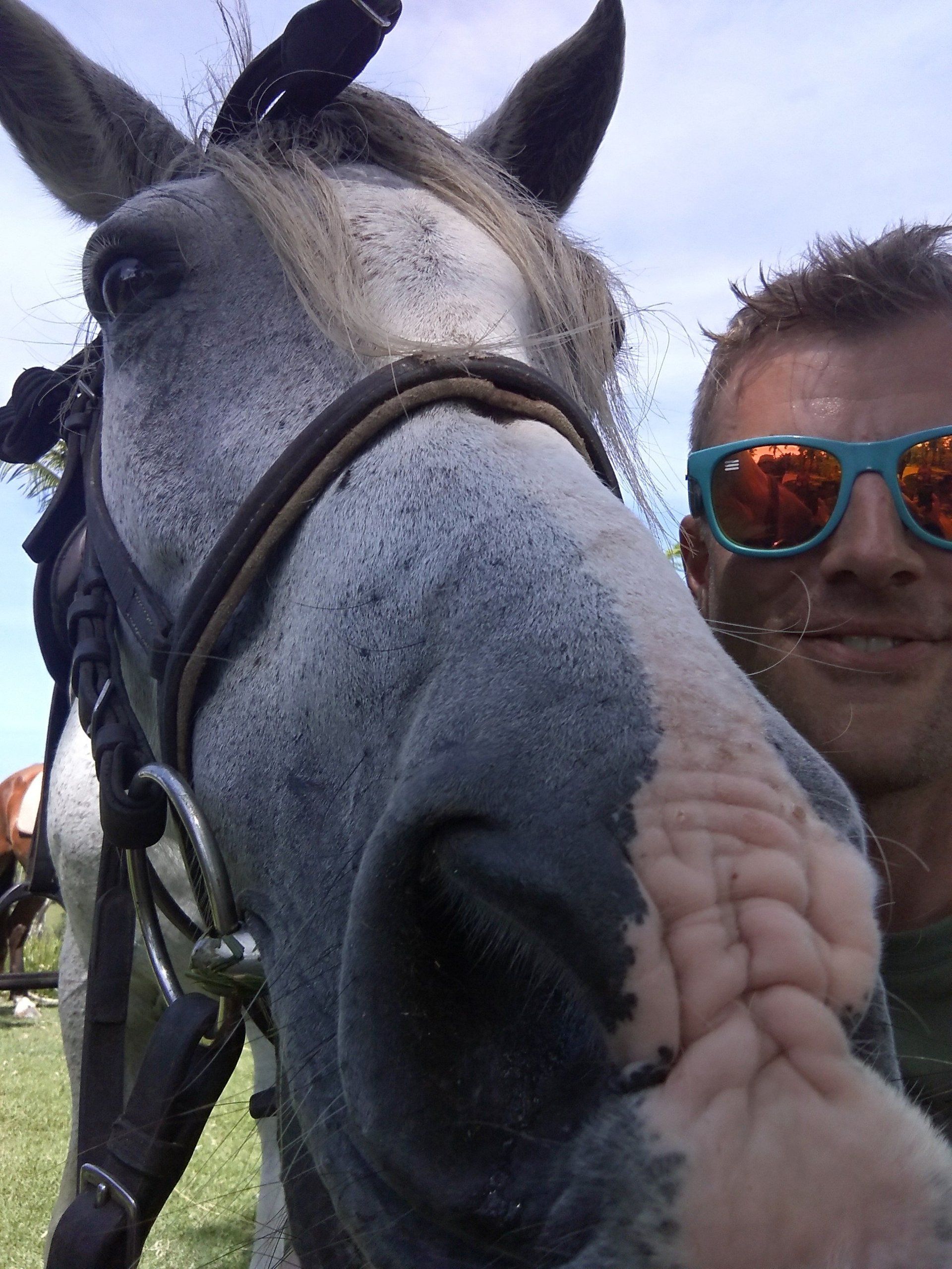 Der Kopf eines Pferdes neben einem Mann