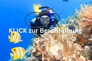 Klick zur Beschreibung Taucher über einem bunten Riff