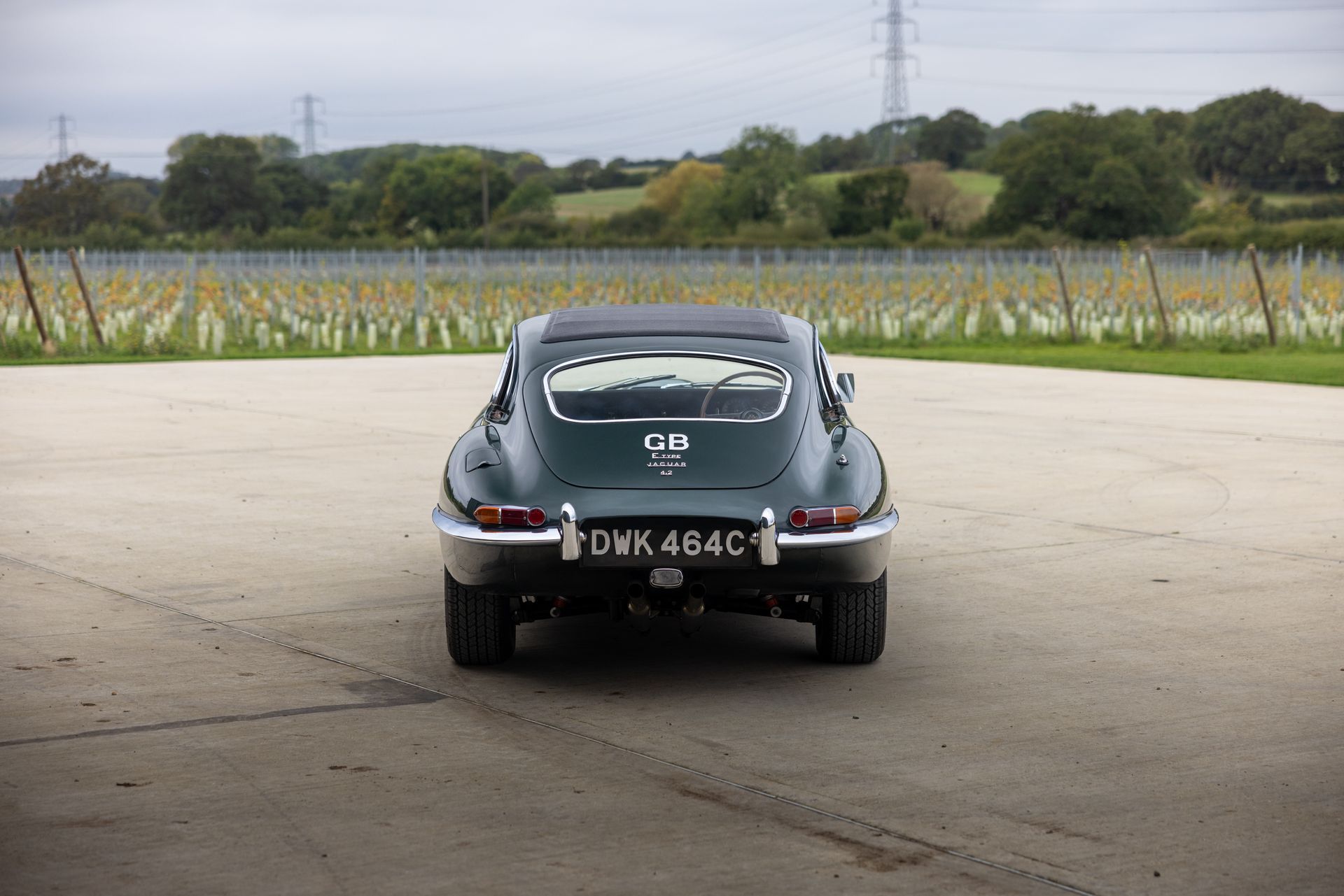 1965 Jaguar E-Type Series 1 4.2 in opalescent dark green