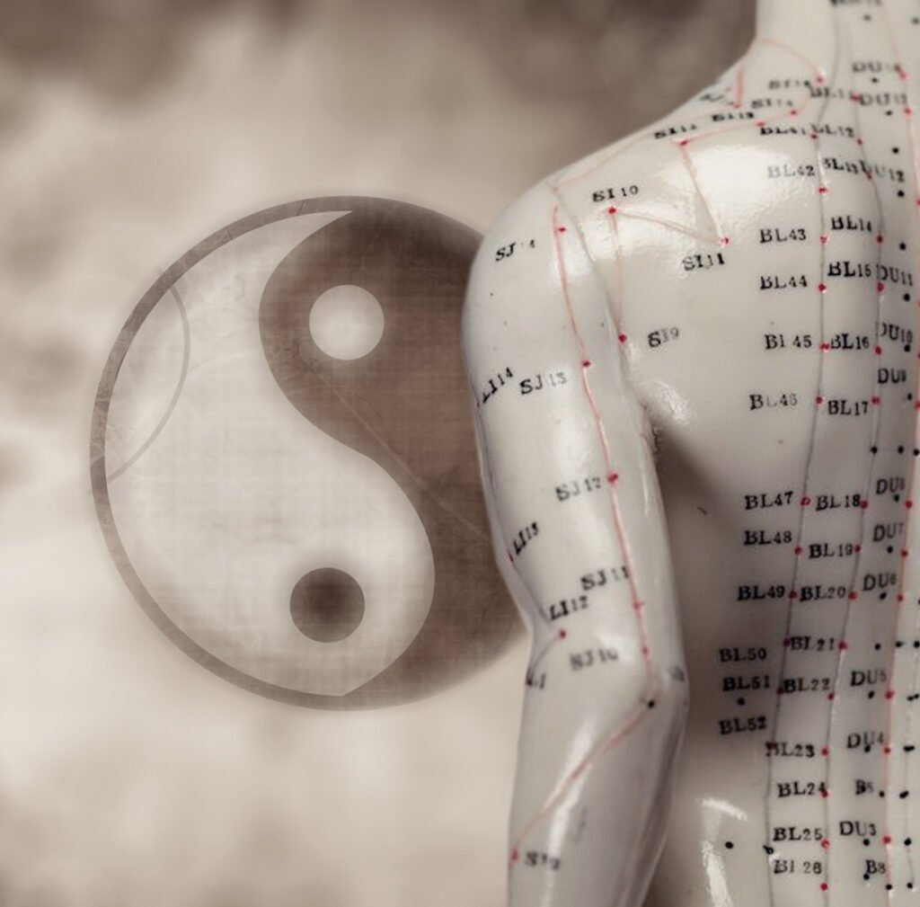 scuola iome, corsi tuina, qigong, medicina cinese, moxa, coppette, taping, Iching