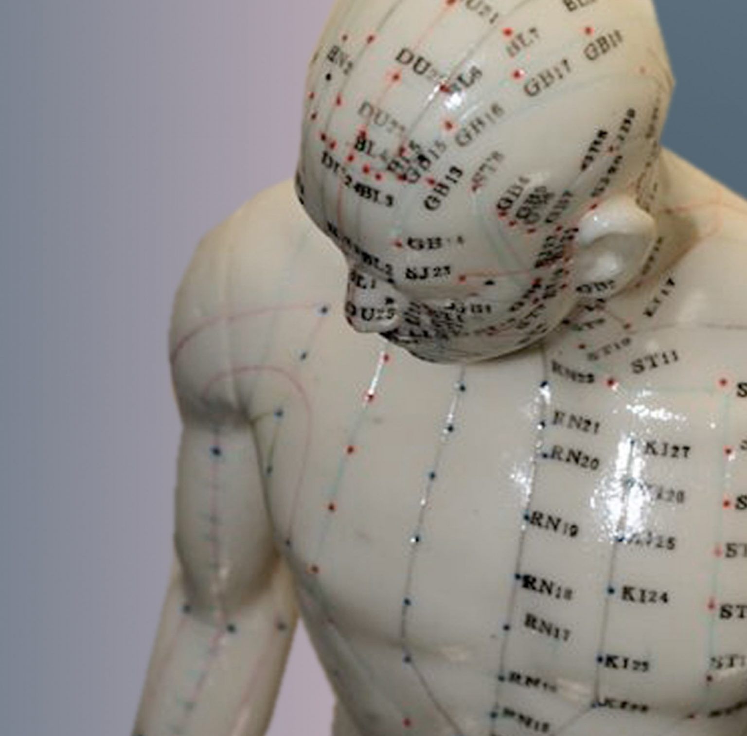 scuola iome, corsi tuina, qigong, medicina cinese, moxa, coppette, taping, Iching