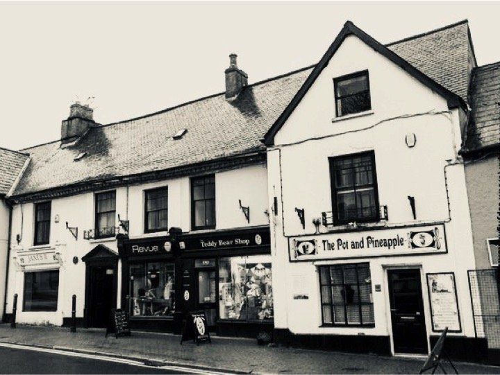 Plas Gunter Mansion modern day