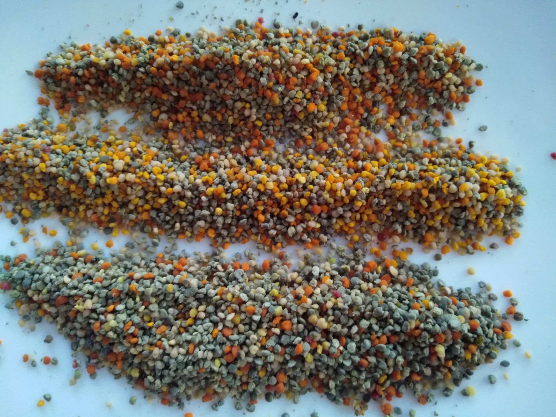 pollen