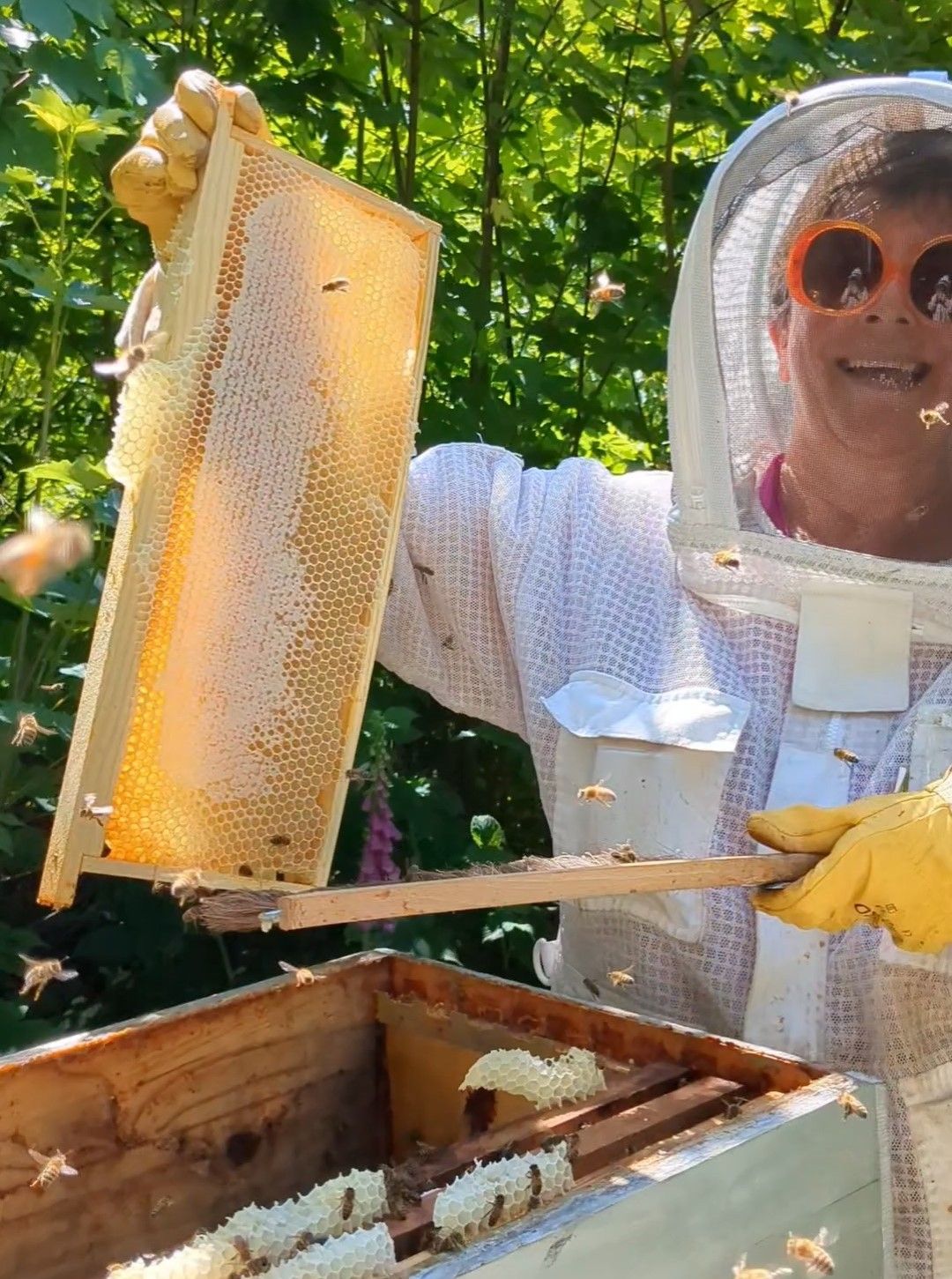 Nouveauté : Bonbons au miel de sapin des Vosges AOP! Val é ri