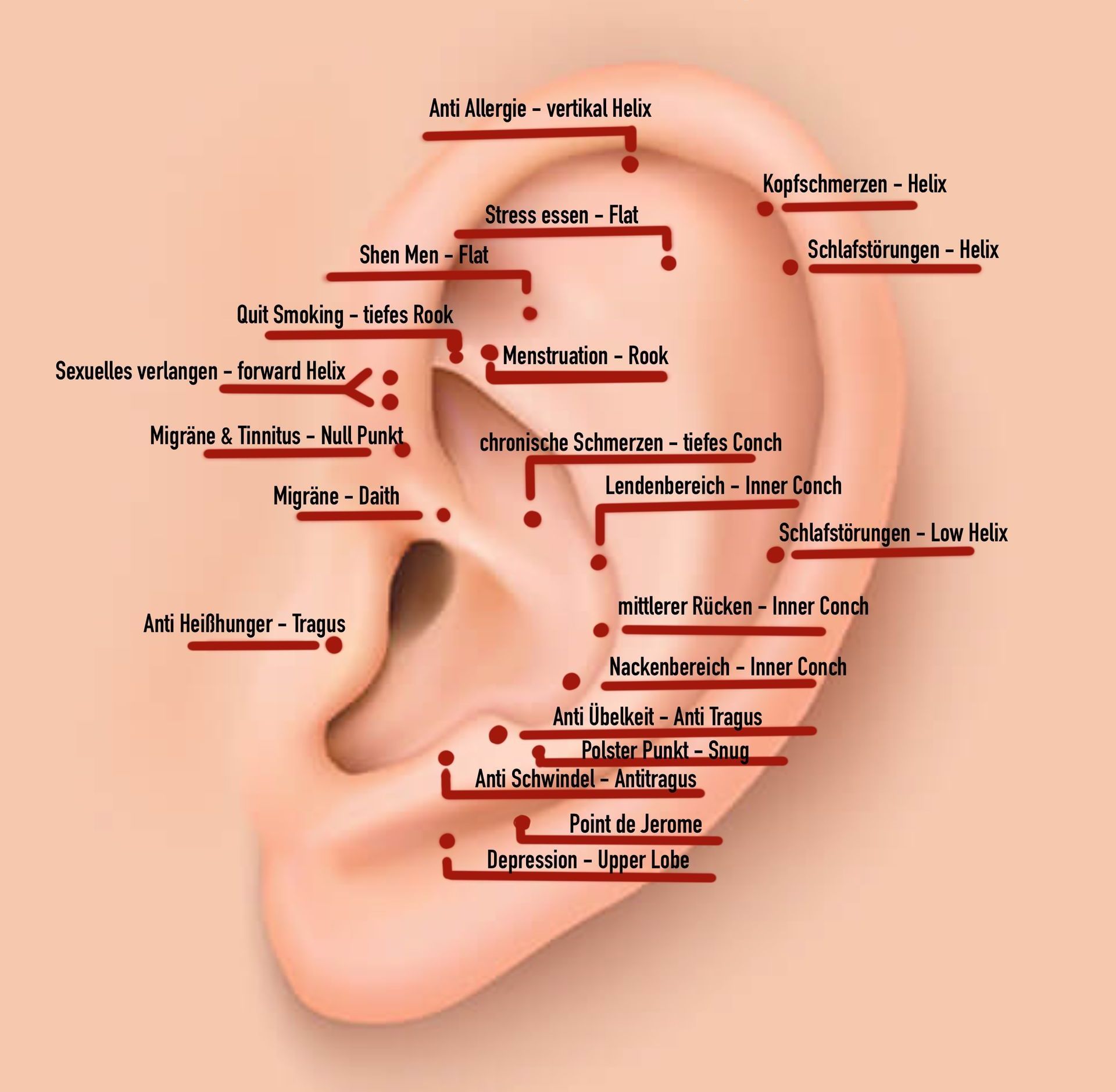 Piercing piercen akupunktur akupunkturpiercing schmerzen migräne regelschmerzen tinitus shen men vertikal helix allergie allergiepiercing migränepiercing depression panikattaken