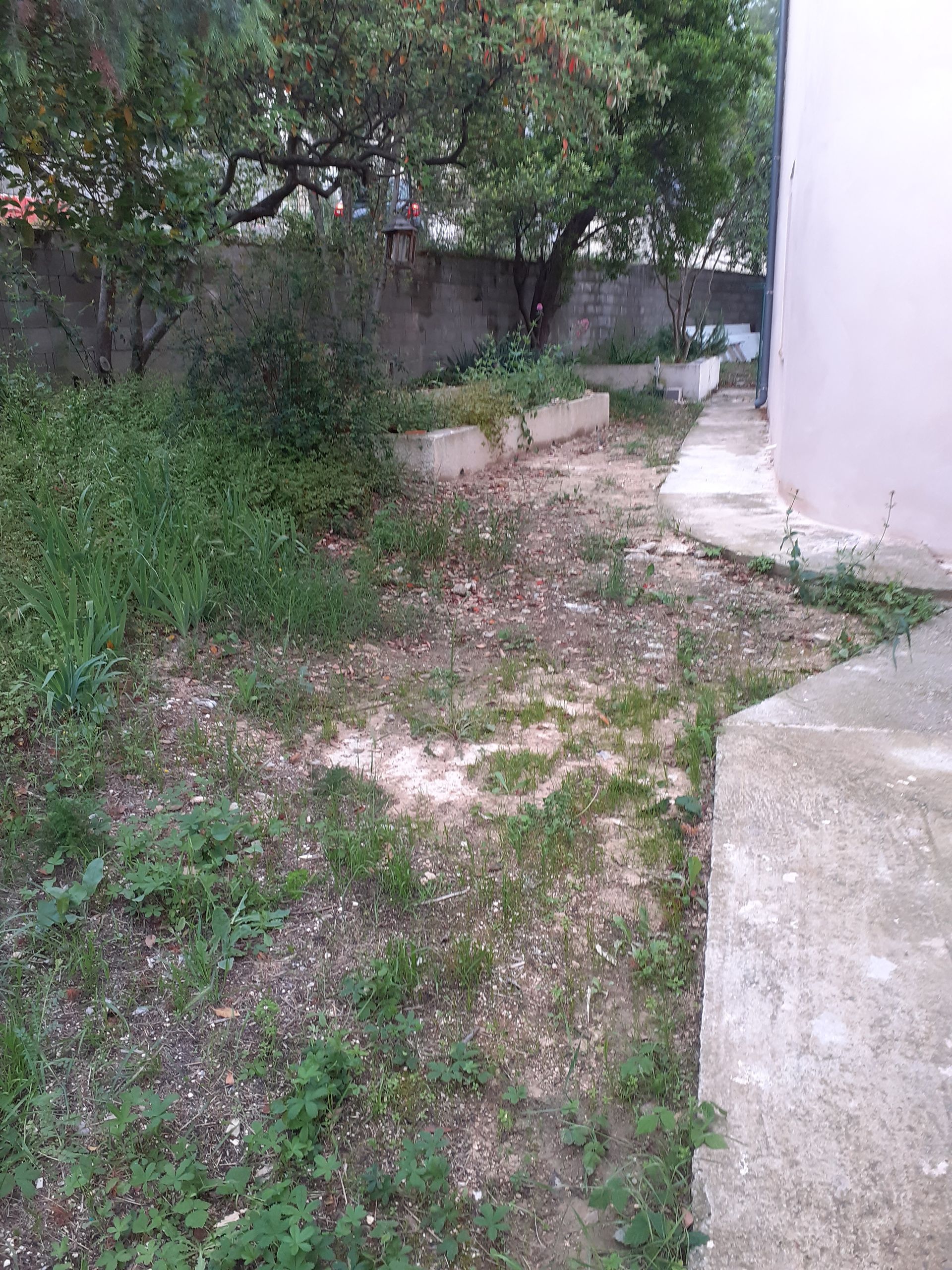 Création d'un cheminement piétonnier minéralisé autour d'une maison Avant