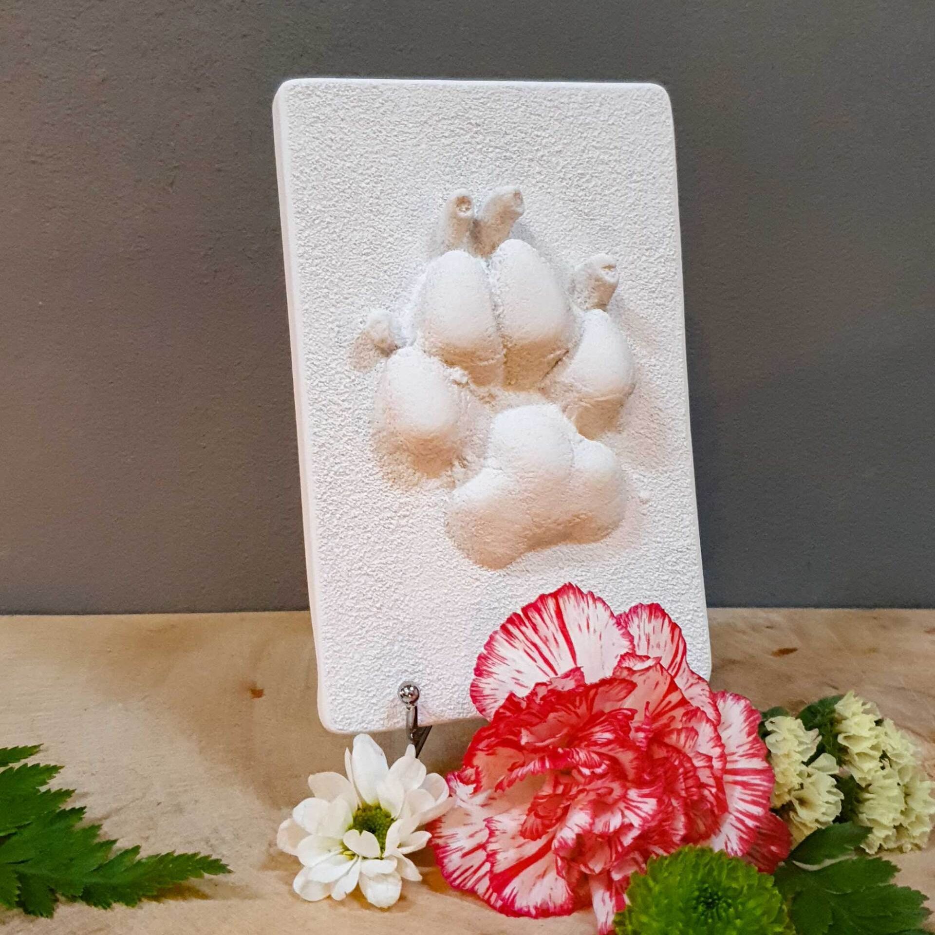 3D Pfotenabdruck Hund