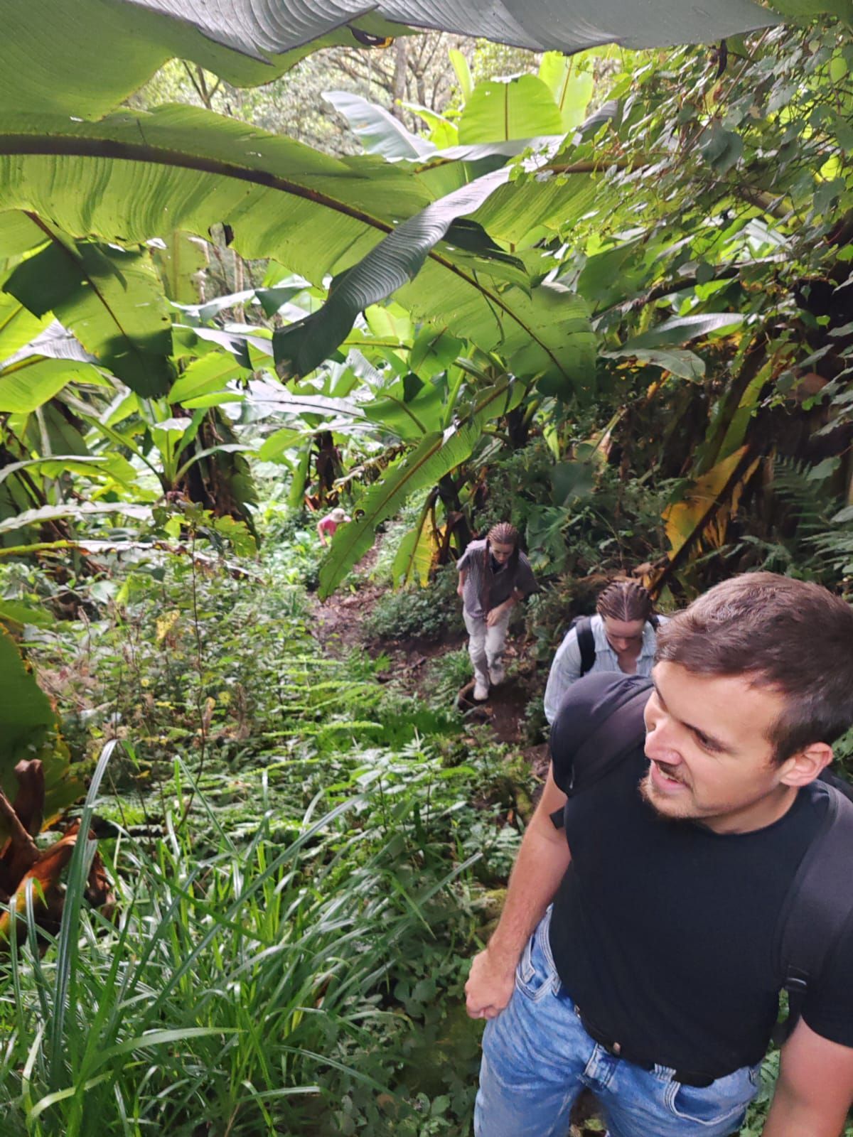 Die Jugend im Regenwald