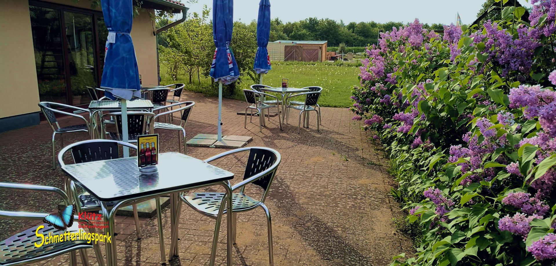 Entspannen und die Sonne genießen bei Kaffee und Kuchen Terrasse Schmetterlingspark Klütz Kaffe und Kuchen