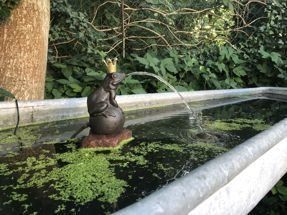 Pur-Na-Tur Froschkönig