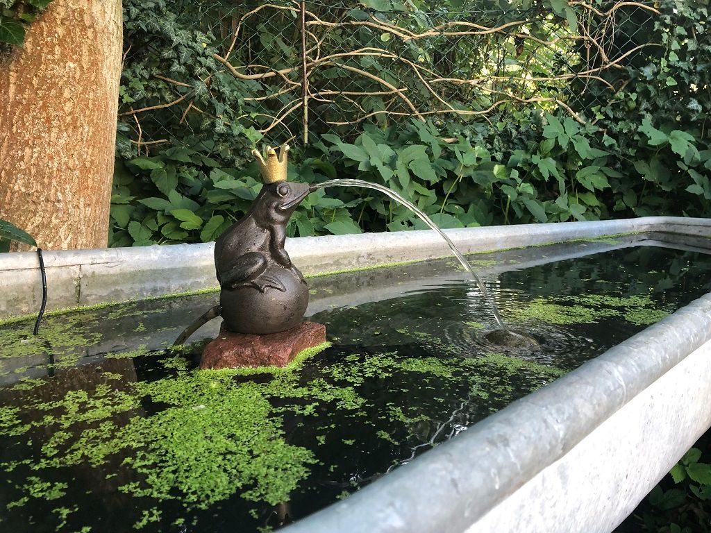 Impressionen aus dem Pur-Na-Tur Zaubergarten