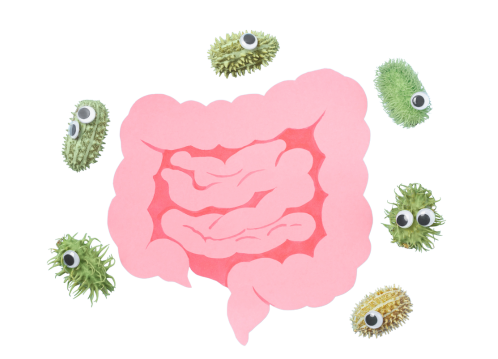 Grafik Darm mit Bakterien