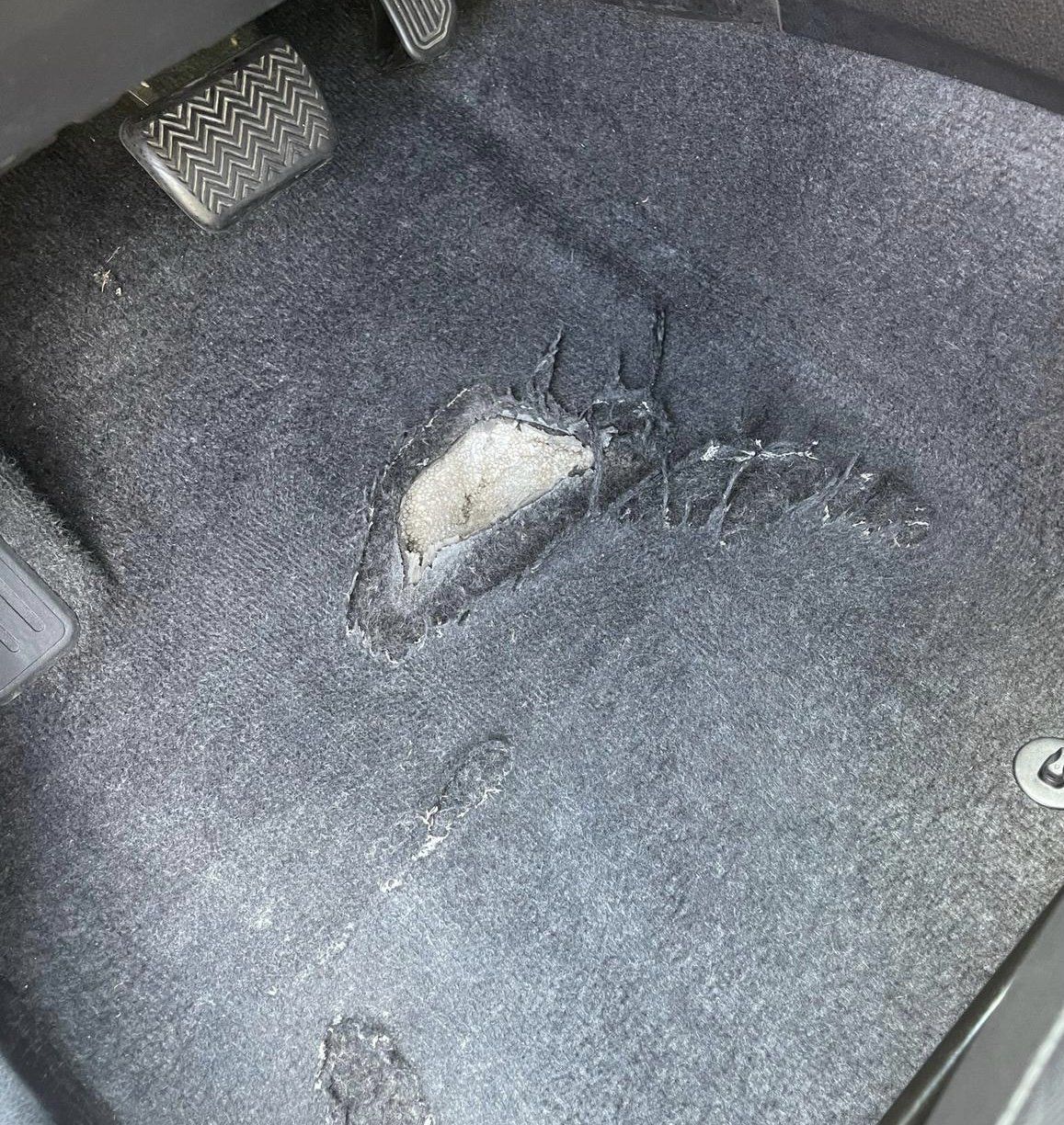 carpet