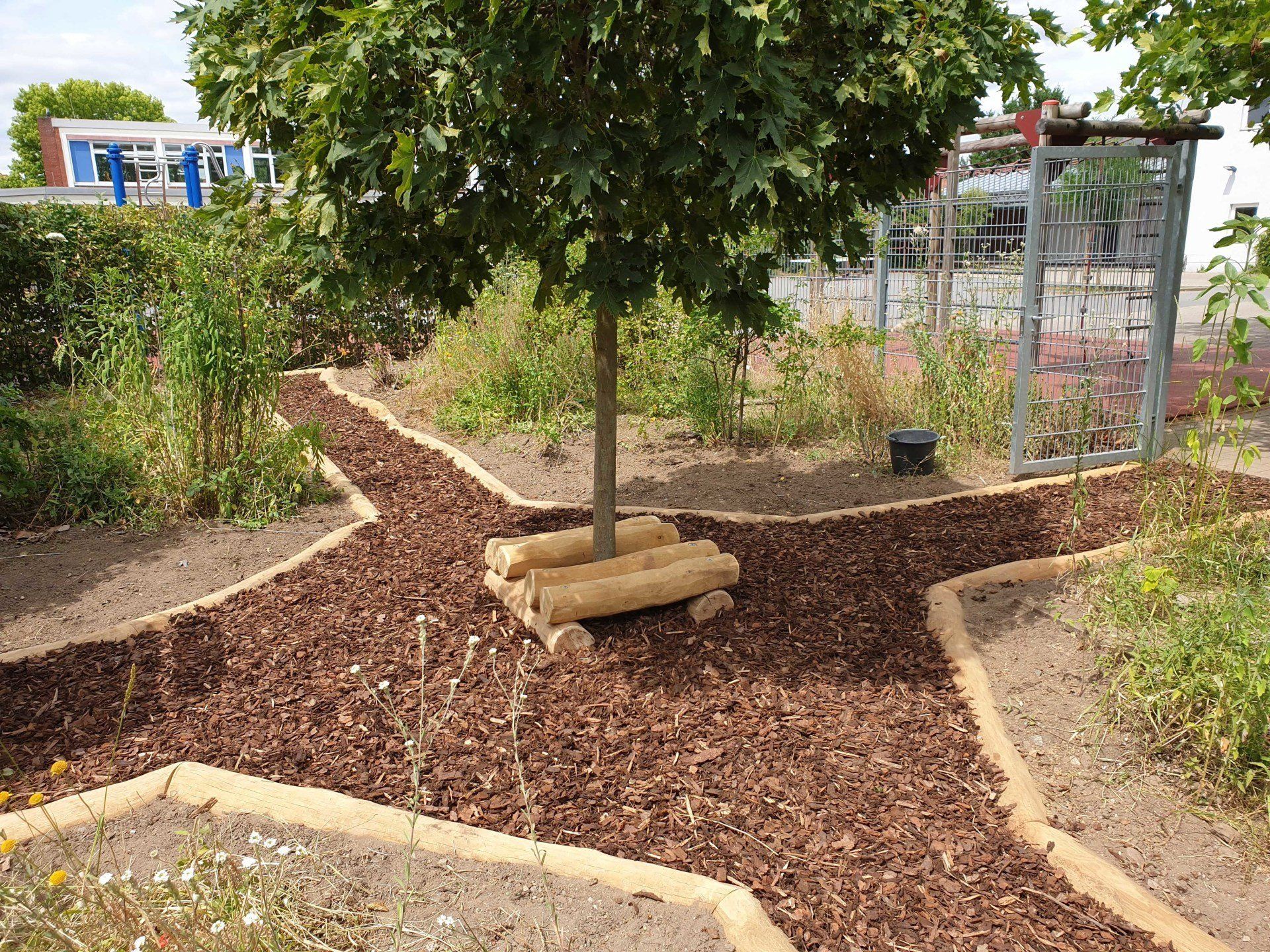 Wegeeinfassung aus Holz für Schulgarten