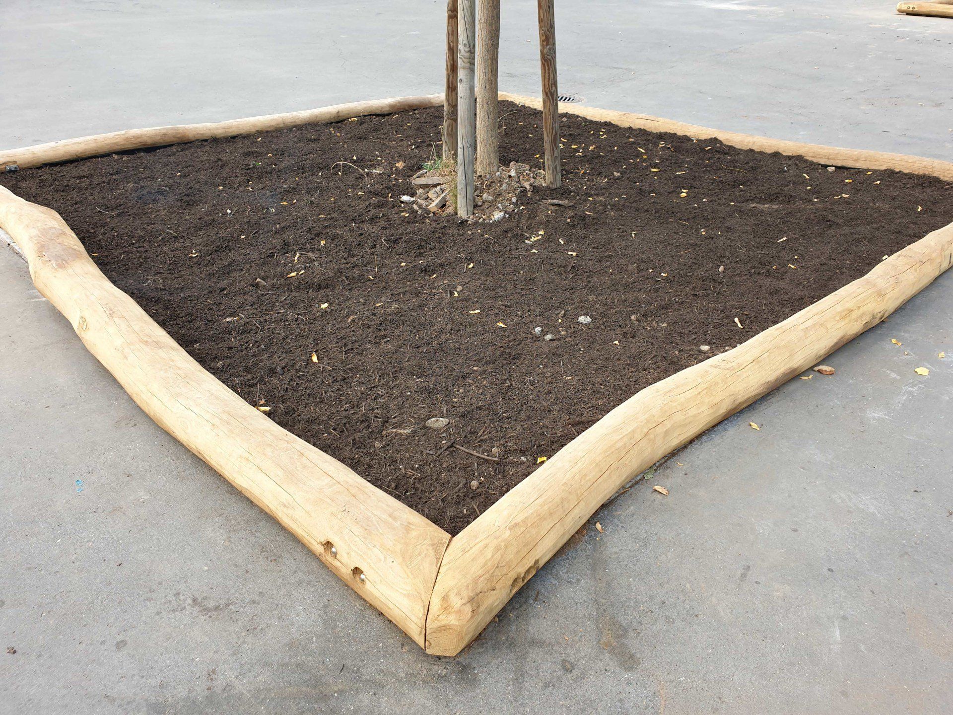 Baumeinfassung aus Robinie