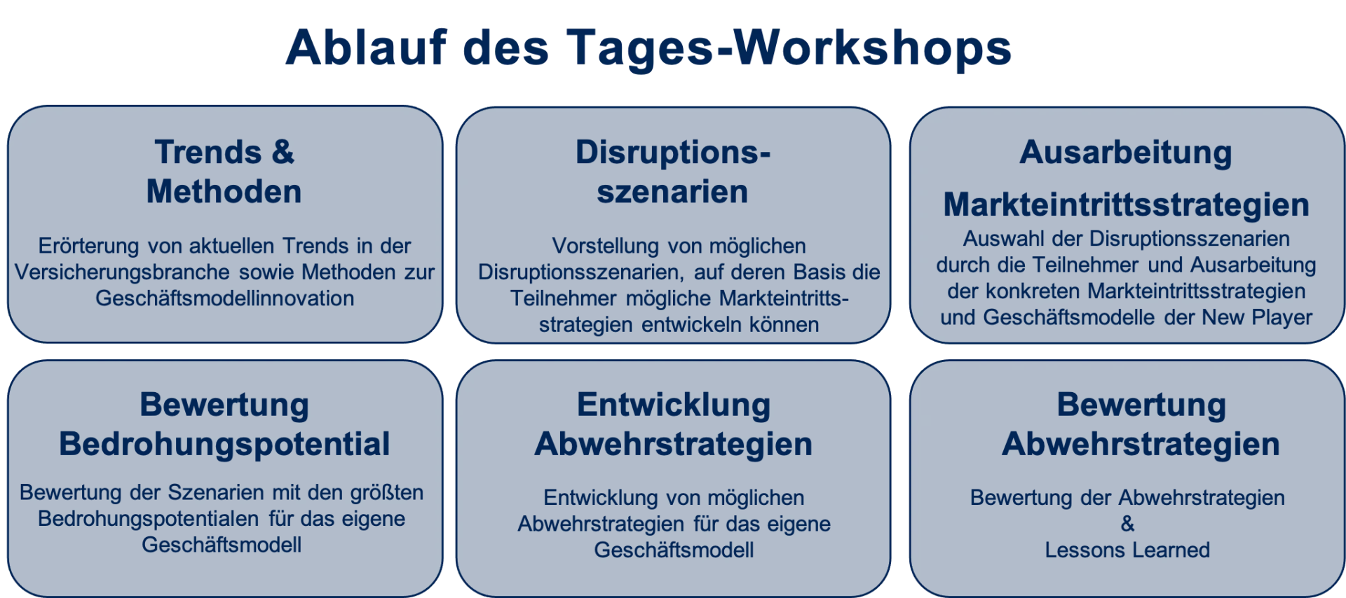 Disruption Workshop, Ablauf