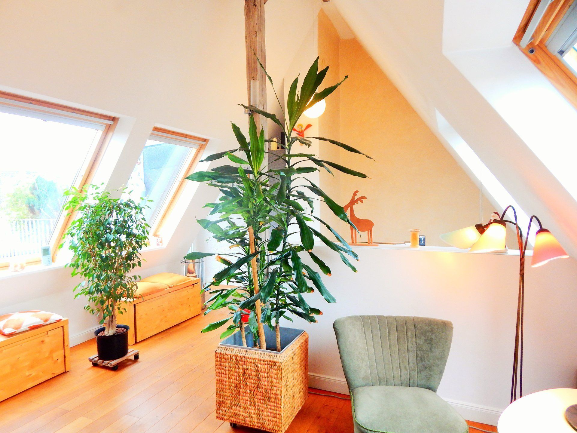 Habrich Immo Köln Südstadt